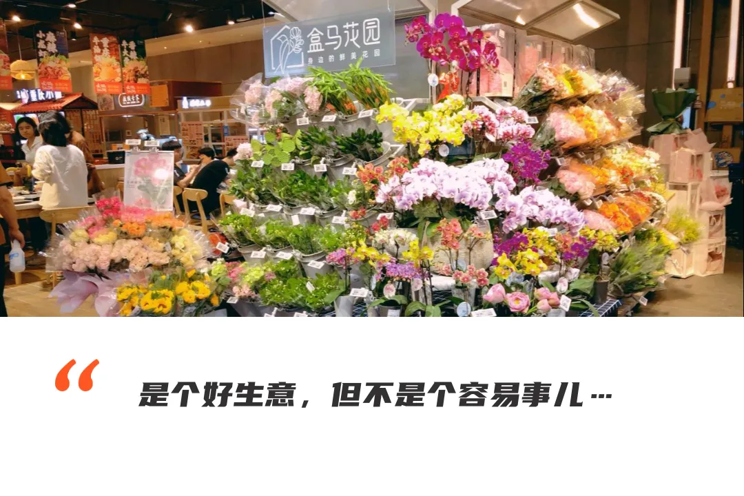 添点新故事，盒马要做中国最大的鲜花零售商