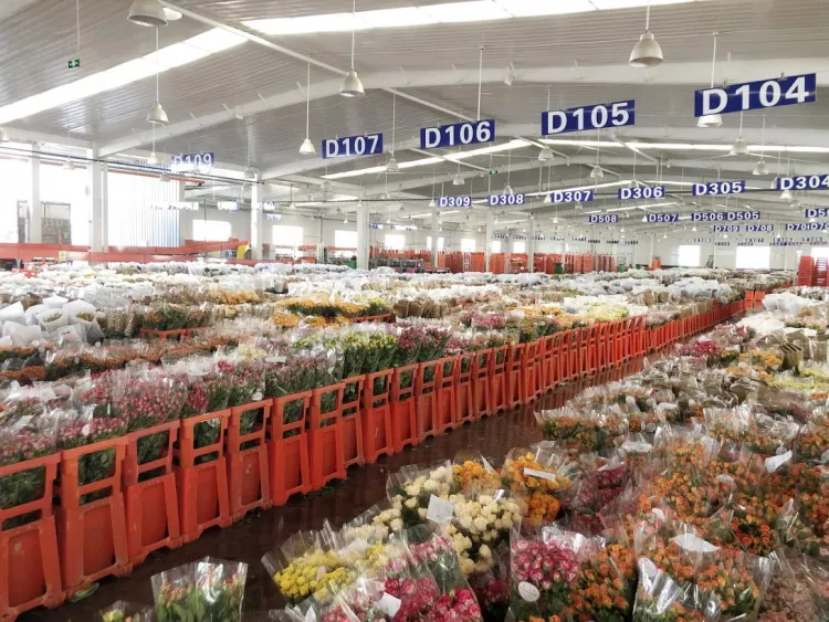 添点新故事，盒马要做中国最大的鲜花零售商