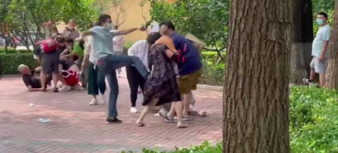 北京野生动物园内游客打斗，园方：引发动物效仿，场面失控